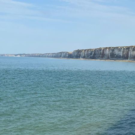 Les Gites Du Chateau Du Cedre Manneville-es-Plains ภายนอก รูปภาพ