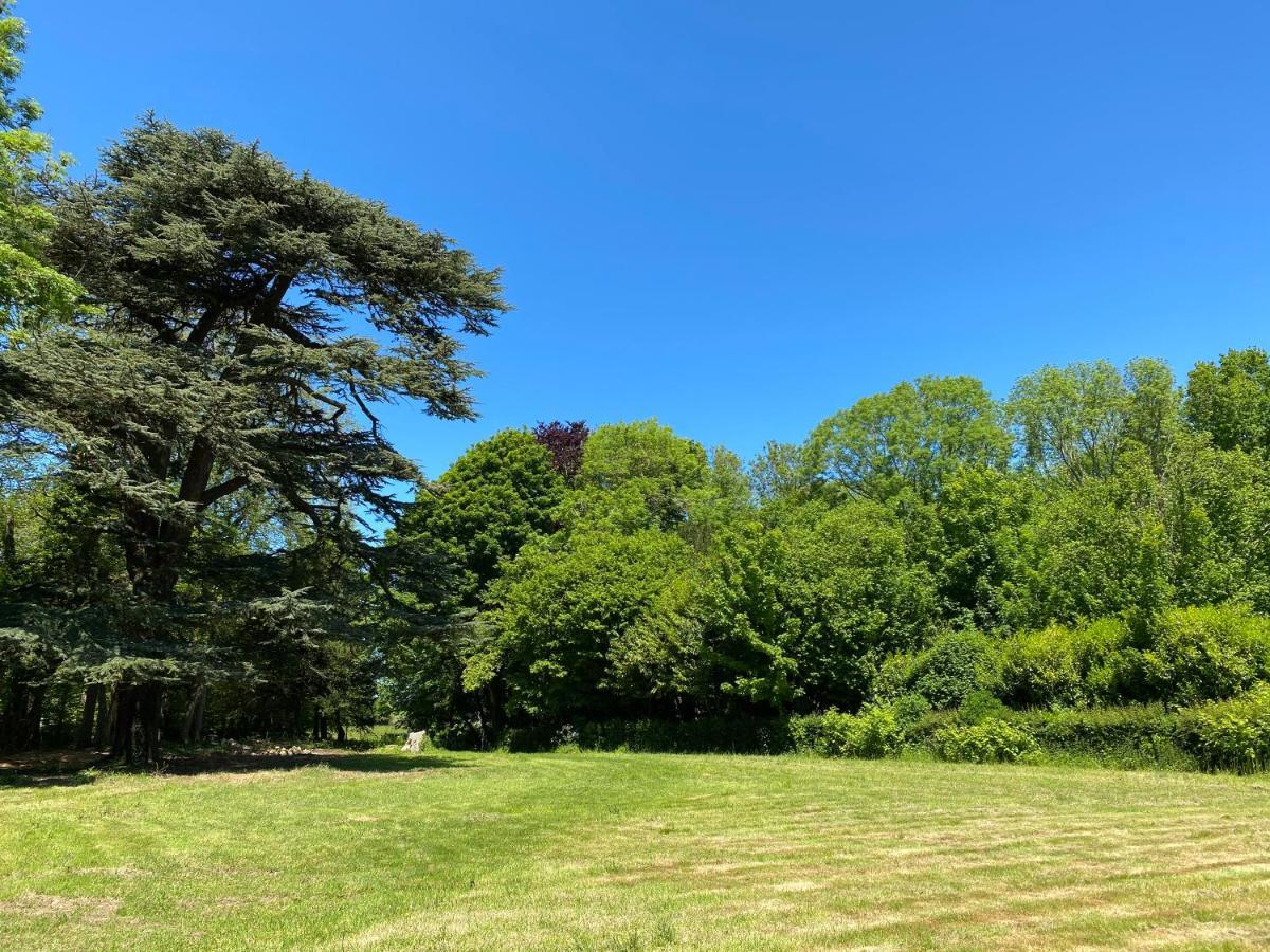 Les Gites Du Chateau Du Cedre Manneville-es-Plains ภายนอก รูปภาพ