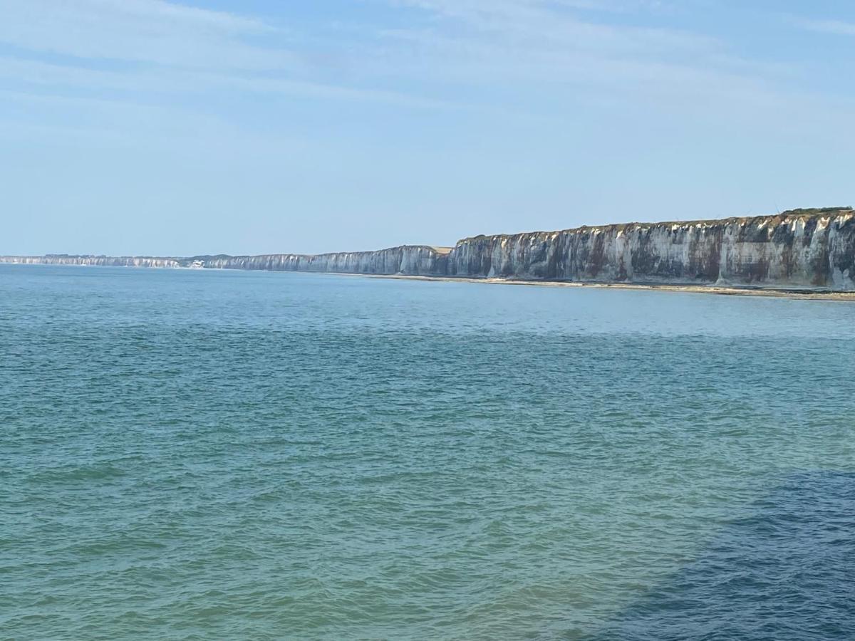 Les Gites Du Chateau Du Cedre Manneville-es-Plains ภายนอก รูปภาพ